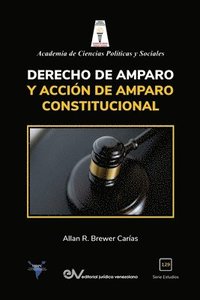 Derecho de Amparo Y Accion de Amparo Constitucional (häftad)