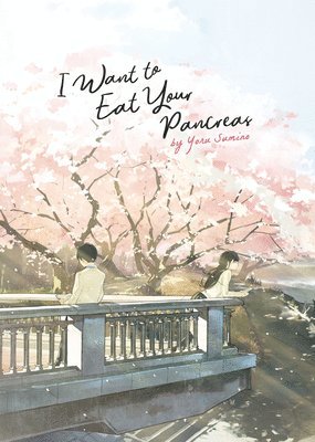 I Want to Eat Your Pancreas (Light Novel) (häftad)