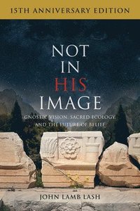 Not in His Image (15th Anniversary Edition) (häftad)