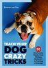 Teach Your Dog Crazy Tricks