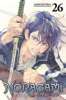Noragami: Stray God 26 (hftad)