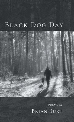 Black Dog Day (hftad)