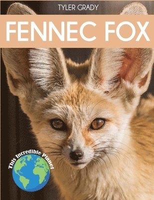 Fennec Fox (häftad)