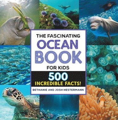 The Fascinating Ocean Book for Kids (inbunden)