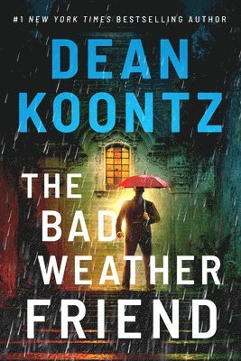 Bad Weather Friend (häftad)