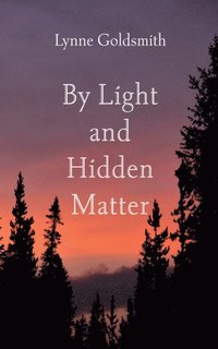 By Light and Hidden Matter (e-bok)