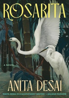 Rosarita (häftad)