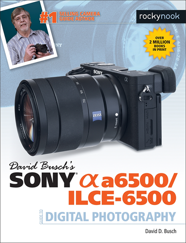 David Busch's Sony Alpha a6500/ILCE-6500 Guide to Digital Photography (e-bok)