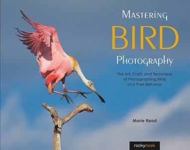 Mastering Bird Photography (häftad)
