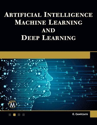Artificial Intelligence, Machine Learning, and Deep Learning (inbunden)