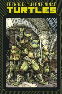 Teenage Mutant Ninja Turtles: Macro-Series (hftad)