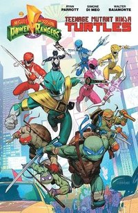 Mighty Morphin Power Rangers/Teenage Mutant Ninja Turtles (hftad)