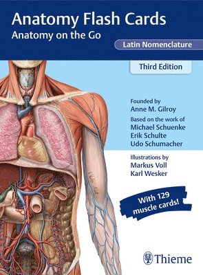 Anatomy Flash Cards, Latin Nomenclature (inbunden)