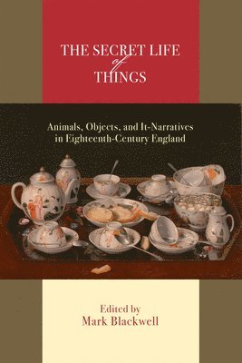 The Secret Life of Things (häftad)