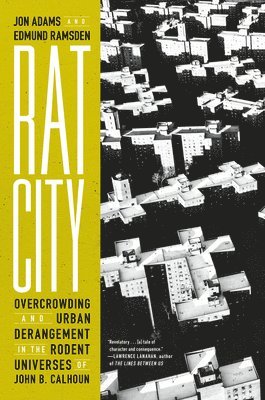 Rat City (häftad)