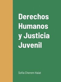 Derechos Humanos y Justicia Juvenil (inbunden)