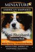 Miniature American Shepherd Training Book for Mini American Shepherd Dogs By D!G THIS DOG Training: Mini Shepherd Training Book, Low Cost Time Saving