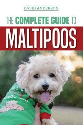 Complete Guide to Maltipoos (inbunden)