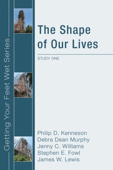 Shape of Our Lives (e-bok)
