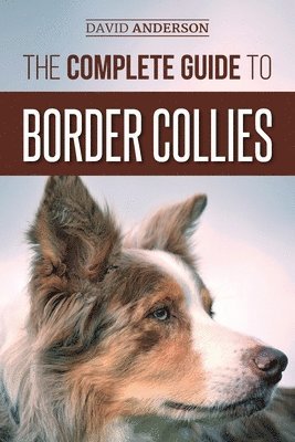 Complete Guide to Border Collies (inbunden)