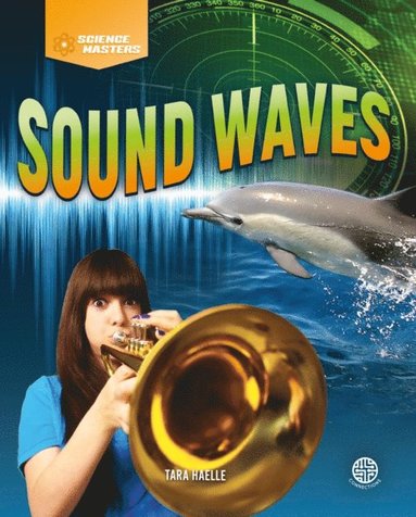Sound Waves (e-bok)