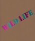 Wild Life: Elizabeth Murray & Jessi Reaves