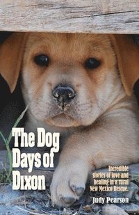 The Dog Days of Dixon: Incredible stories of love and healing in a rural New Mexico Rescue (hftad)