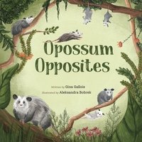 Opossum Opposites (häftad)
