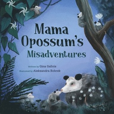Mama Opossum's Misadventures (hftad)