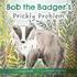 Bob the Badger's Prickly Problem