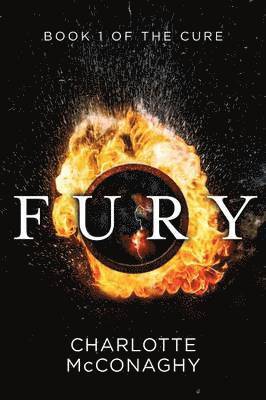 Fury (häftad)