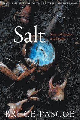 Salt: Selected Stories and Essays (hftad)