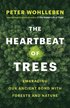 Heartbeat of Trees