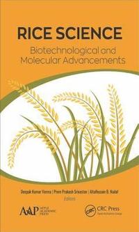 Rice Science: Biotechnological and Molecular Advancements (inbunden)