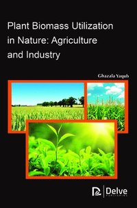 Plant Biomass Utilization in Nature (inbunden)