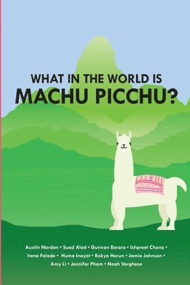 What in the World is Mach Picchu? (inbunden)