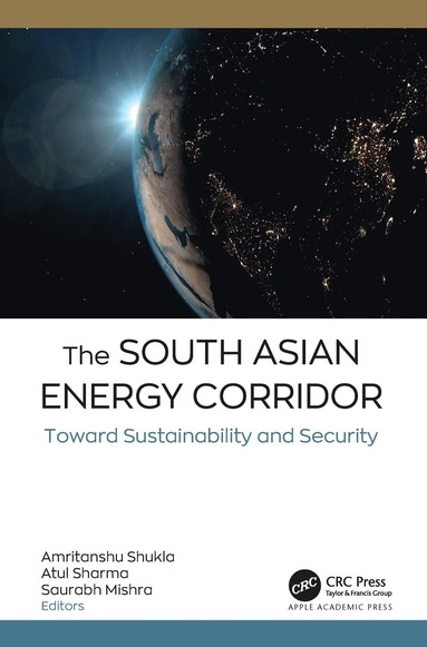 South Asian Energy Corridor (häftad)