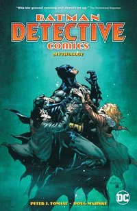Batman: Detective Comics Volume 1 (hftad)