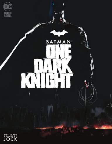 Batman: One Dark Knight (h�ftad)