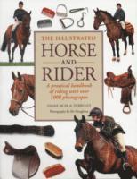 Illustrated Horse and Rider (häftad)