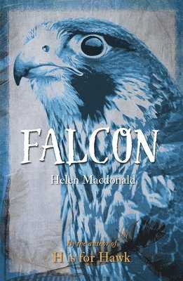 Falcon (inbunden)