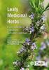 Leafy Medicinal Herbs