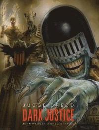 Judge Dredd: Dark Justice (inbunden)