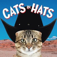 Cats in Hats (kartonnage)