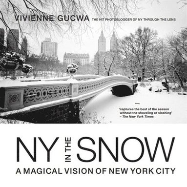 New York in the Snow: A Magical Vision of New York City (hftad)