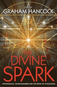 The Divine Spark (häftad)