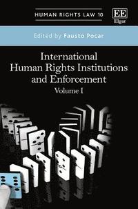 International Human Rights Institutions and Enforcement (inbunden)