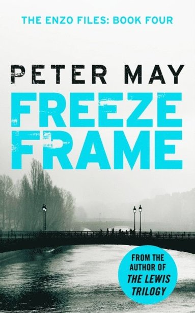 Freeze Frame (e-bok)