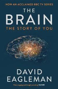 The Brain (hftad)