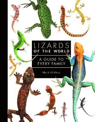 Lizards of the World (inbunden)